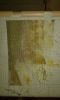 20170404_064954.jpg