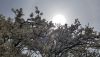 20170405_113237.thumb.jpg.6922c15aacf86112d4b1691bde2b4ae8.jpg