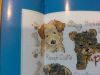 20170406_193032.thumb.jpg.fc7f97ead000123bdd6a6fcb7261a01c.jpg