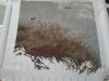 20170406_214909.thumb.jpg.471c7e4fa64038bc451ce15263358da0.jpg