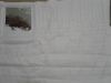 20170406_215151.thumb.jpg.b8c234f227b1f321bd7a6ea39aab6c42.jpg