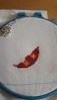 20170407_104759.jpg