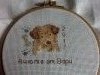 20170408_123805.thumb.jpg.6ebc99fb233b354681330e3b3d83ac94.jpg?1491645366827