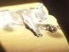 20170410_153258.thumb.jpg.abd4d987bf47f72b690035b3c6ed4e5f.jpg?1491840045719
