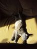 20170410_153655.thumb.jpg.325cffb8d6b261d18933d7d6a42f7a69.jpg