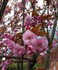 20170410_160851.jpg