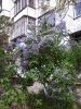 20170417_095135.thumb.jpg.d8f92e8e2c588712b58ea9ee9da2fc7c.jpg?1492501442014