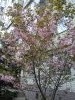 20170417_095809.thumb.jpg.218f801d0f9d38bad7dd91f88099553d.jpg?1492501435365