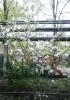 20170417_095835.thumb.jpg.6bc6edb76ff29fe8ed7a475360882928.jpg?1492501450612