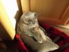 20170418_174917.thumb.jpg.f71f1359a406c70694307dc21ecdf7a4.jpg