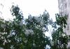 20170428_095551.thumb.jpg.63f949118ee53595f78053695ad6c164.jpg
