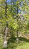 20170428_113741.thumb.jpg.8f07ba7a5722eabb620f193af978c792.jpg