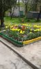 20170430_114546.thumb.jpg.72dd5914098ebf273b9871379cd38d64.jpg