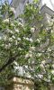 20170430_115039.thumb.jpg.d4698ac0c0493b3dc4efe585d3f000c5.jpg