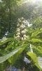 20170430_115116.thumb.jpg.b9bd530058d3079f40c40274476a5f0c.jpg?1493550575037