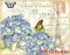 Dimensions 35307, Paris Hydrangea