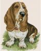 325423-a1602-101357043-m750x740-uec104.thumb.jpg.93974f44b963f3605ae54d24e4b1cceb.jpg