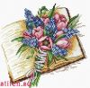 35955.thumb.jpg.9b627abb23ce806a14b164fd3f1a3c75.jpg