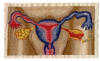 58e3cdba773f4_(211).thumb.png.876f7d12214c672a78b17c085bbfef89.png