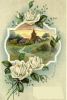 58ec62bd91f42_.thumb.JPG.4de0e4153a0149ad22a9e8bbff5961ad.JPG