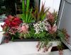 58ef7a8c8c981_20.thumb.jpg.46f6acd5d84bb67351a60be77cac9ab3.jpg