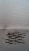 58fcd8144aa8e_1.thumb.jpg.2b4a66629ac8cb12a049ea3c825b2e00.jpg