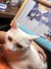 ARo_OAcxnV8.thumb.jpg.51e21cd105578ce899afef4f7a969c58.jpg
