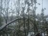 DSC00652.thumb.JPG.7c9446875e693386872122cd4dd288b0.JPG