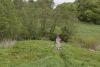 DSC01313.thumb.jpg.4c39bcad2f79775a2c57301da2276290.jpg