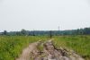 DSC01608.thumb.jpg.d088ab7dd7f3545c0f516cfbca791850.jpg