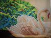 DSC01730.thumb.JPG.1f2b56d048eb13b32812802657f88191.JPG
