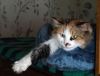 DSC01869_.thumb.jpg.588798324a07bd50fb318f81ef34d0e3.jpg
