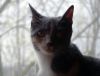 DSC01871_.thumb.jpg.f04422e8cb79cb4f26e5f9dc0c2bb0a9.jpg