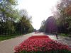 DSC02273.thumb.JPG.ac1903728755a28a38421bac53599446.JPG