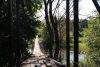 DSC02583.thumb.jpg.72b50ef0f96aa53fd1fad51f590619df.jpg