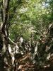 DSC03112.thumb.JPG.1e558365753279f46e011326f2c8d9e3.JPG
