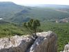 DSC03183.thumb.JPG.da6ab35a2a8c04b280d9e21dd26491d4.JPG