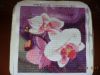 DSC04437.JPG