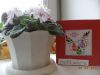 DSC04439.JPG