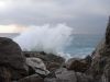 DSC04718.thumb.JPG.d332e7e0289a5b6f8d8f67c2a8b9b562.JPG