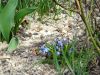 DSC05915.thumb.JPG.383e548cc216125fc5bd3dbf63b35dc9.JPG