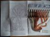 DSC06289.thumb.JPG.66bb01fcc49c4fcd439279f75d937a59.JPG