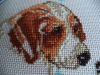 DSC06359.thumb.JPG.09252fa27490ac572b7fd6bfe0689a9b.JPG