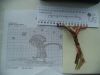 DSC06463.thumb.JPG.4deafcf0817c8f7d8da3e012b0e107e3.JPG