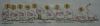 DSC06821.thumb.JPG.49e16e133bdf43f6f076df7e96e942d5.JPG