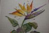 DSC07846.thumb.JPG.fc79918f9d775c70e09b25e79025ceeb.JPG