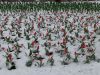 DSC08490.thumb.JPG.5646776686aae5b62a59f906db92d3d8.JPG