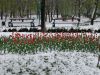 DSC08491.thumb.JPG.857b018b4517a13b75b882d46ba71df9.JPG