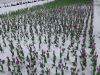DSC08492.thumb.JPG.55d429662e9cc23dd6ce591a847c432c.JPG