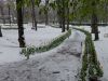 DSC08497.thumb.JPG.5148ce9d79573e5afdddd067d1f9d3da.JPG